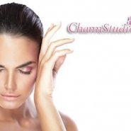 www.ostulaine.ee