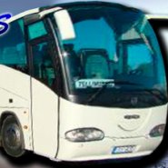 www.zizu.ee diil