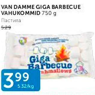 Allahindlus - VAN DAMME GIGA BARBECUE VAHUKOMMID 750 G