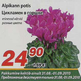 Allahindlus - Alpikann potis