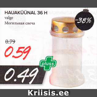 Allahindlus - HAUAKÜÜNAL 36 H