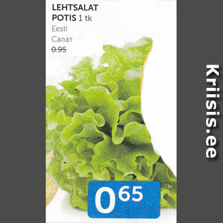 Allahindlus - LEHTSALAT POTIS 1 tk