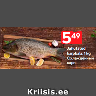 Allahindlus - Jahutatud karpkala, 1 kg