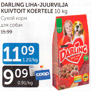 Allahindlus - DARLING LIHA-JUURVILJA KUIVTOIT KOERTELE 10 kg