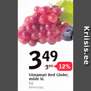 Allahindlus - Viinamari red Globe, mööt XL, kg