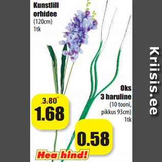 Allahindlus - Kunstlill orhidee (120cm) 1tk; Oks 3 haruline (10 tooni, pikkus 93cm) 1tk