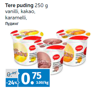 Allahindlus - Tere puding 250 g