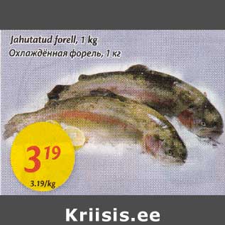 Allahindlus - Jahutatud forell, 1 kg