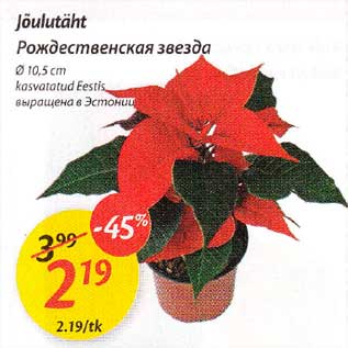 Скидка - Рождесmвенская звезда