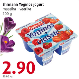 Allahindlus - Ehrmann Yoginos jogurt