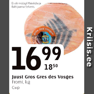 Allahindlus - Juust Gros Gres des Vosges, Fromi, kg