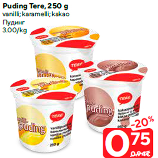 Allahindlus - Puding Tere, 250 g