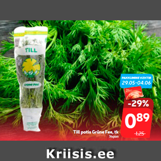 Allahindlus - Till potis Grüne Fee, tk