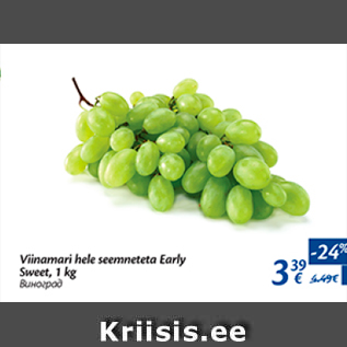 Allahindlus - Viinamari hele seemneteta Eaely Sweet, 1 kg