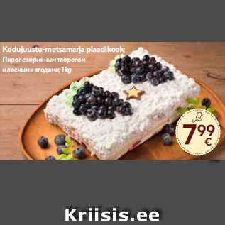 Allahindlus - Kodujuustu-metsamarja plaadikook; 1 kg