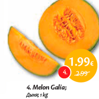 Allahindlus - Melon Galia;