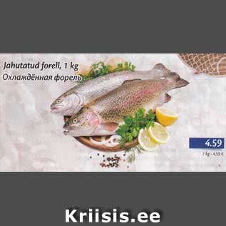 Allahindlus - Jahutatud forell, 1 kg