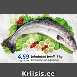 Allahindlus - Jahutatud forell, 1 kg