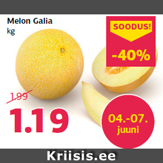 Allahindlus - Melon Galia kg