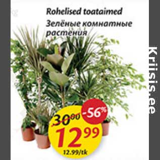 Скидка - Зелёные комнатные растения