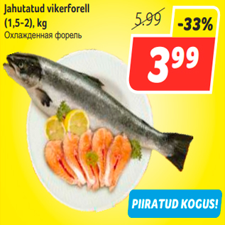 Allahindlus - Jahutatud vikerforell