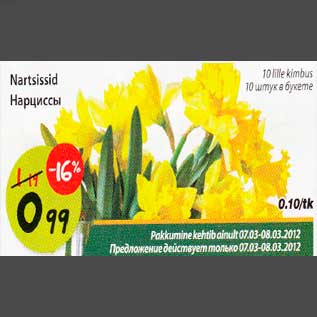Скидка - Нарцысы 10 штук в букете