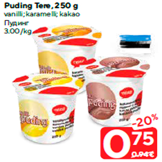 Allahindlus - Puding Tere, 250 g