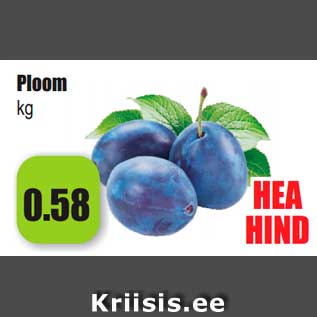 Allahindlus - Ploom kg