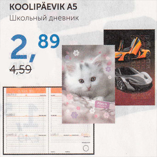 Allahindlus - KOOLIPÄEVIK A5