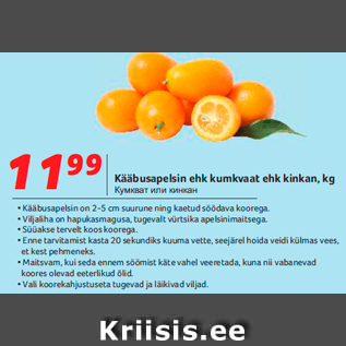 Allahindlus - Kääbusapelsin ehk kumkvaat ehk kinkan, kg