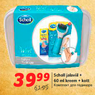 Allahindlus - Scholl jalaviil + 60 ml kreem + kott