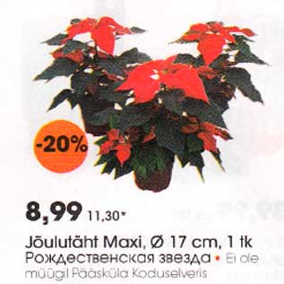 Скидка - Рождественская звезда