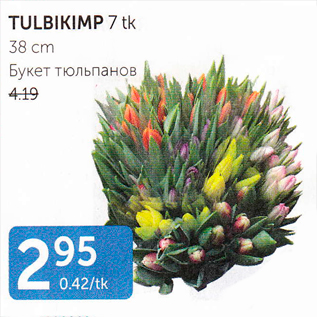 Allahindlus - TULBIKIMP