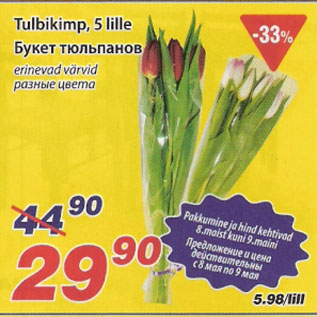Скидка - Букет тюльпанов