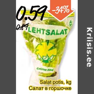 Скидка - Салат в горшочке