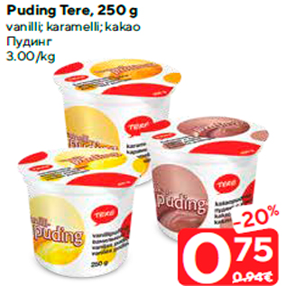 Allahindlus - Puding Tere, 250 g