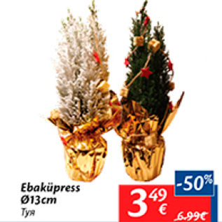 Allahindlus - Ebaküpress d13 cm