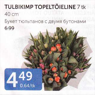 Скидка - БУКЕТ ТЮЛЬПАНОВ С ДВУМЯ БУТОНАМИ