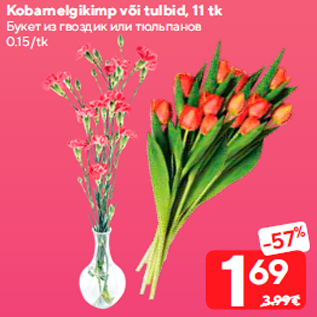 Allahindlus - Kobarnelgikimp või tulbid, 11 tk