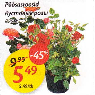 Скидка - Кустовые розы