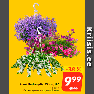 Скидка - Летние цветы в подвесной вазе