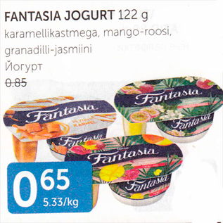 Allahindlus - FANTASIA JOGURT 122 G