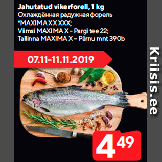 Allahindlus - Jahutatud vikerforell, 1 kg