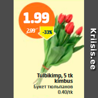 Скидка - Букет тюльпанов