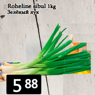 Allahindlus - Roheline sibul 1kg