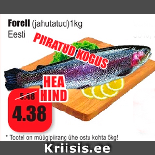 Allahindlus - Forell (jahutatud)1kg Eest