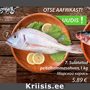 Allahindlus - Sulatatud peitelhammasahven, 1 kg
