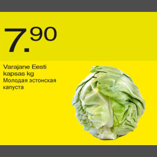 Allahindlus - Varajane Eesti kapsas