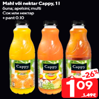 Allahindlus - Mahl või nektar Cappy, 1 l