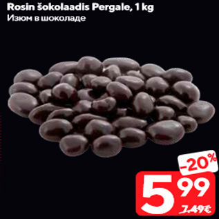 Allahindlus - Rosin šokolaadis Pergale, 1 kg